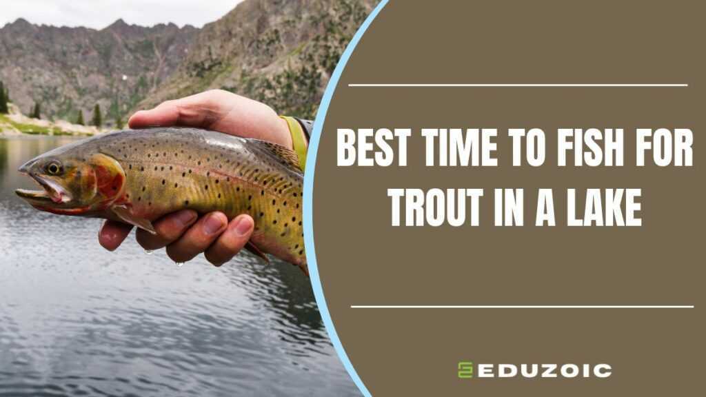 Best Time to Fish for Trout in a Lake