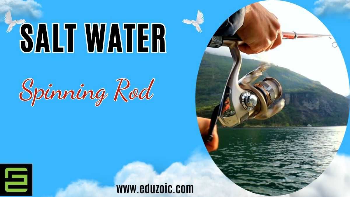 5 Best 2 Piece Saltwater Spinning Rod