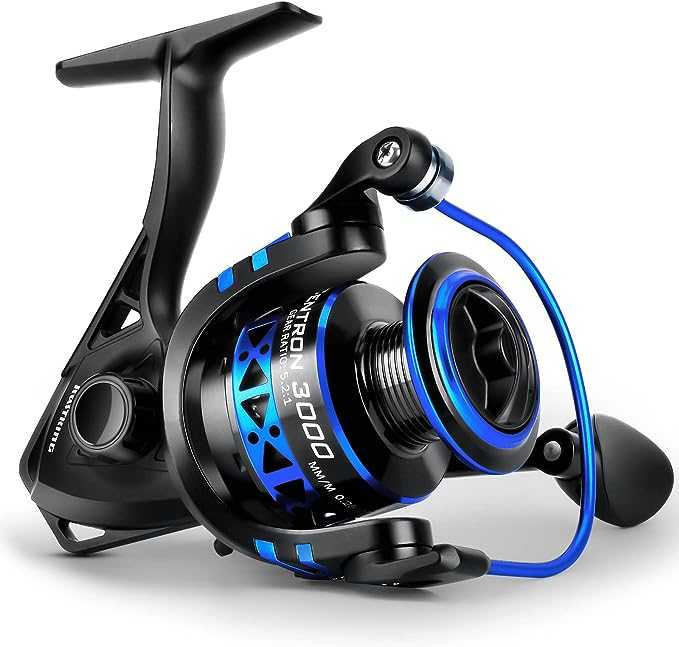 KastKing Summer and Centron Spinning Reel