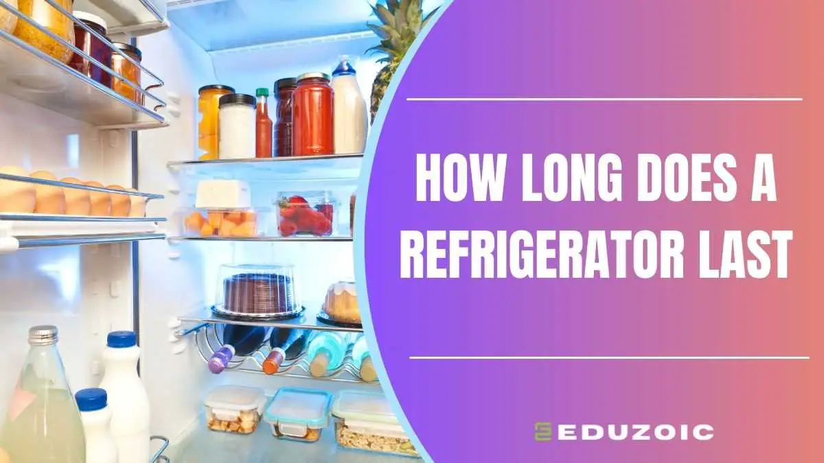 How Long Does a Refrigerator Last? Truth Exposed