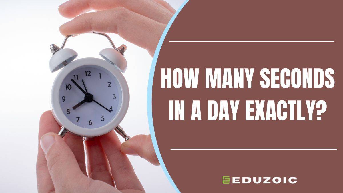 How Many Seconds in a Day Exactly? Time Converter Included