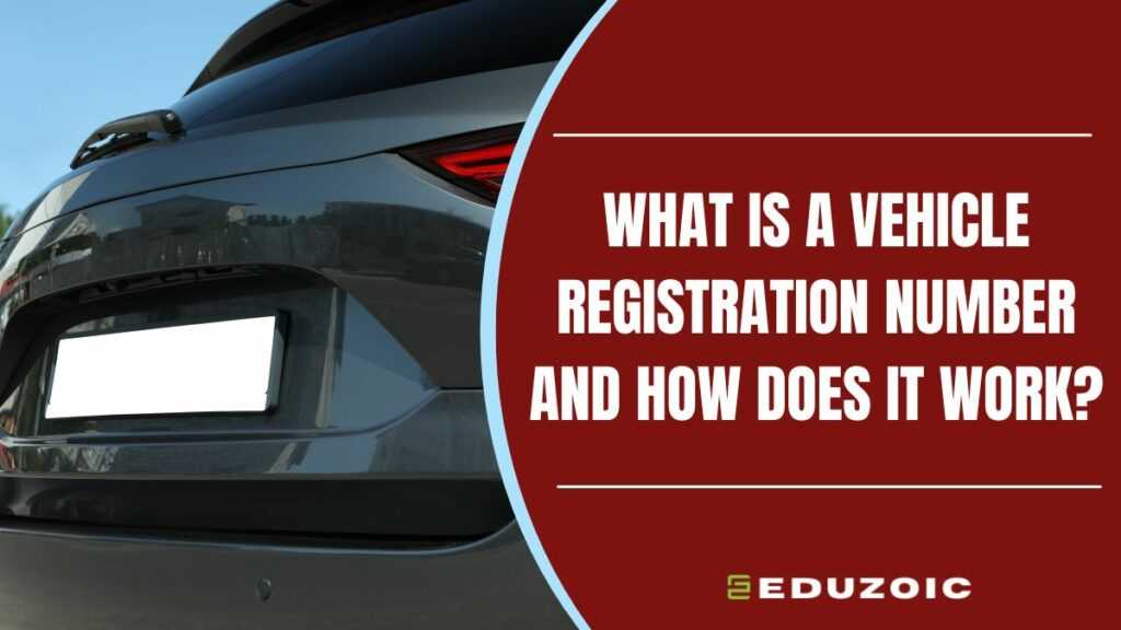 vehicle registration number