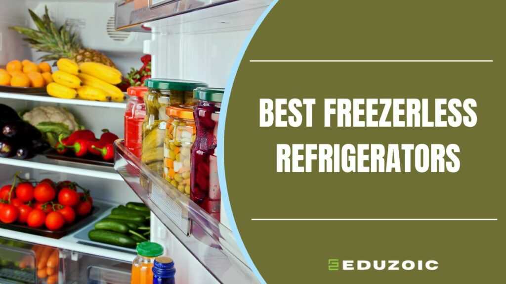 best freezerless refrigerator