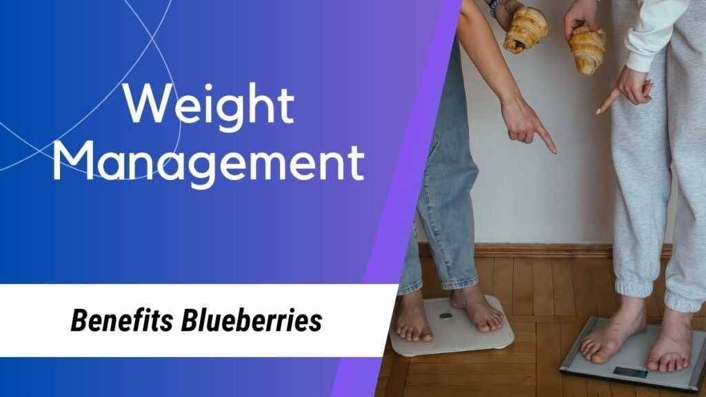 Blueberries Benefits in Weight Management