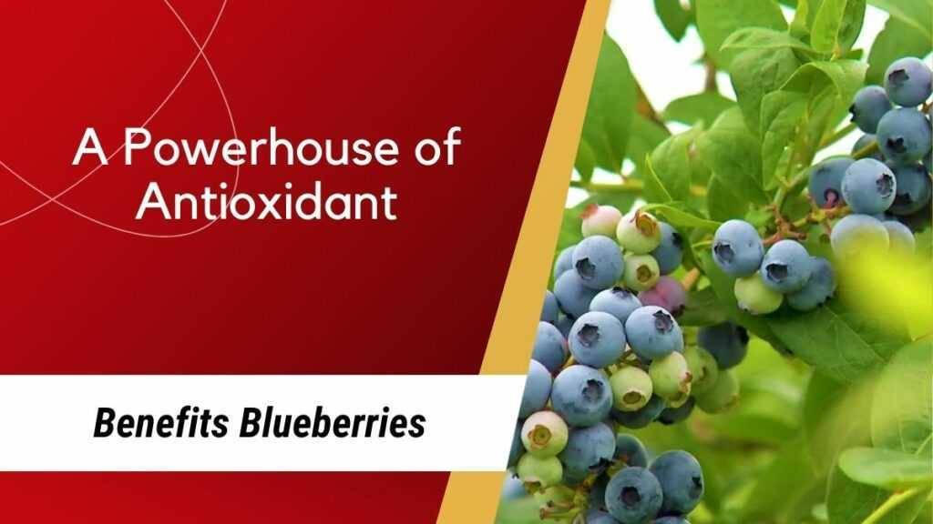 Blueberries as a powerhouse of antioxidant